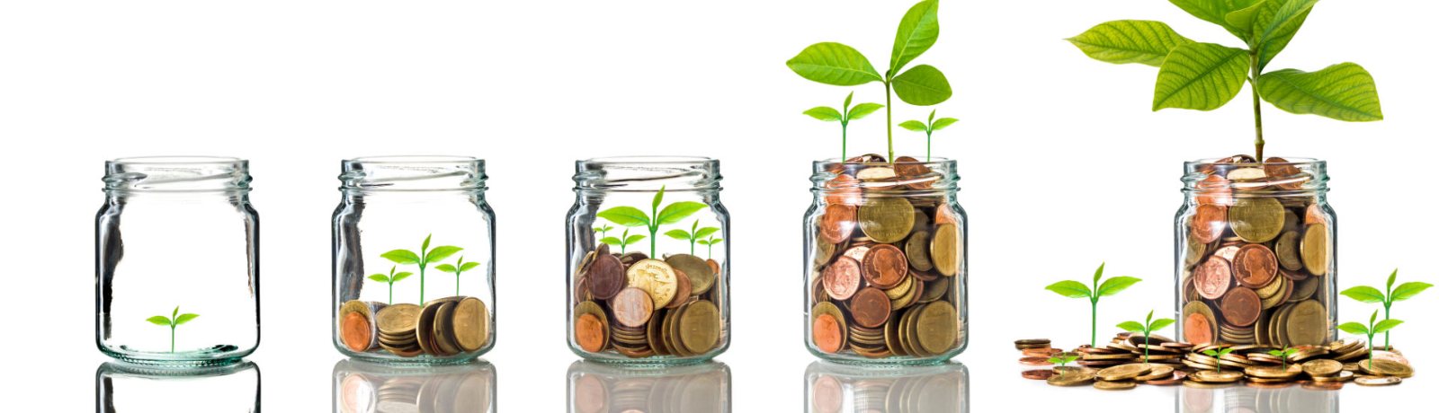 five glass jars with coins and plants growing from them.